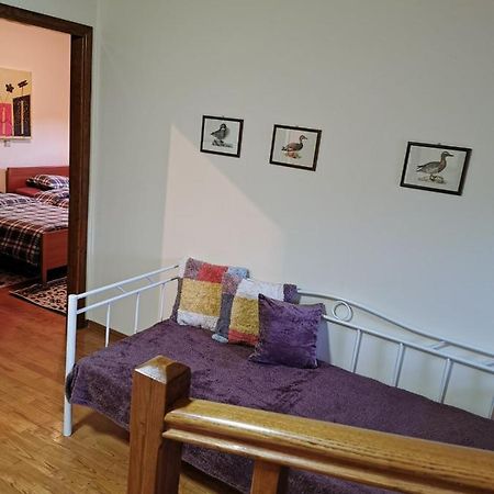 Villa Ευορέων Pertouli Zewnętrze zdjęcie